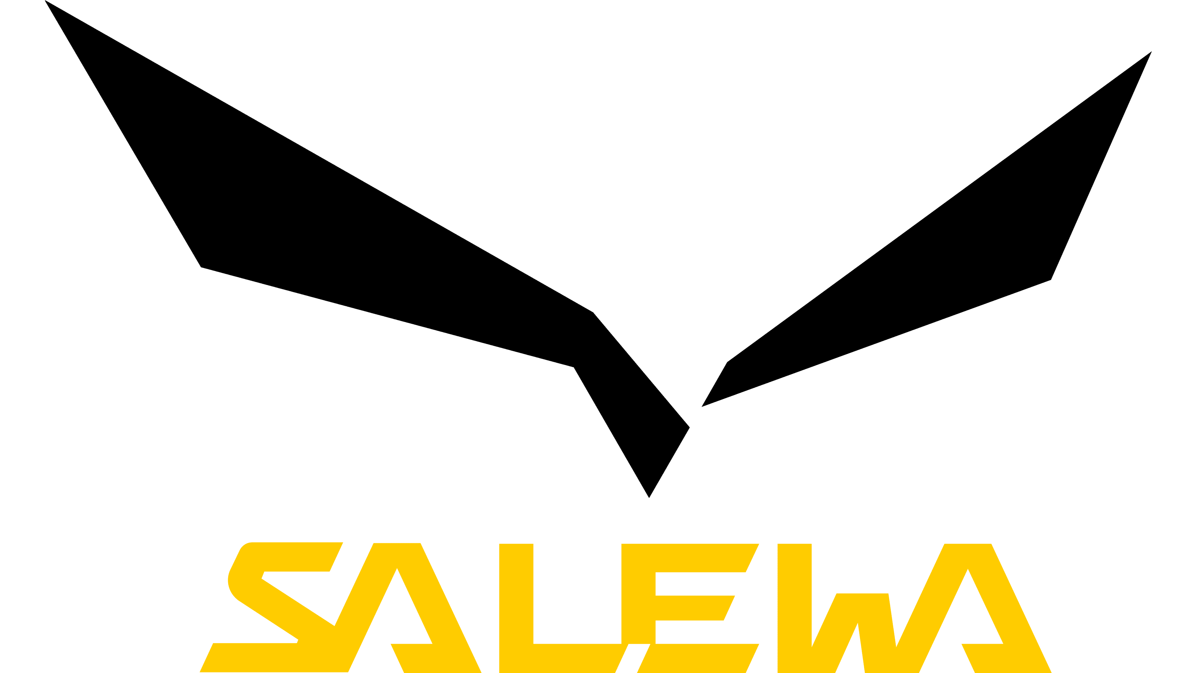 salewa