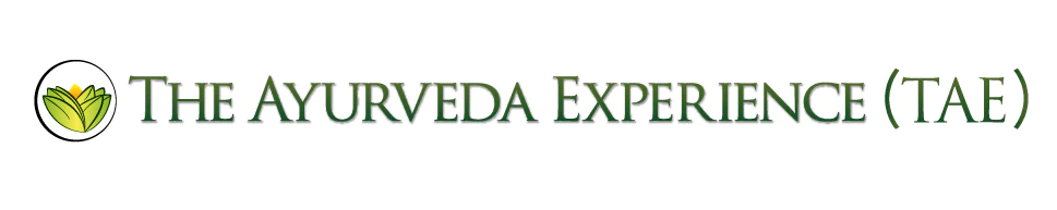 The Ayurveda Experience
